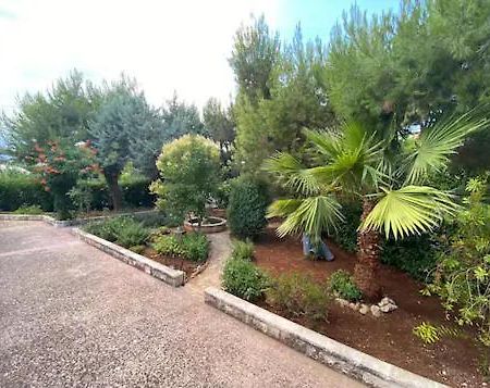 Villa Adelaide Чельє-Мессапіка Екстер'єр фото
